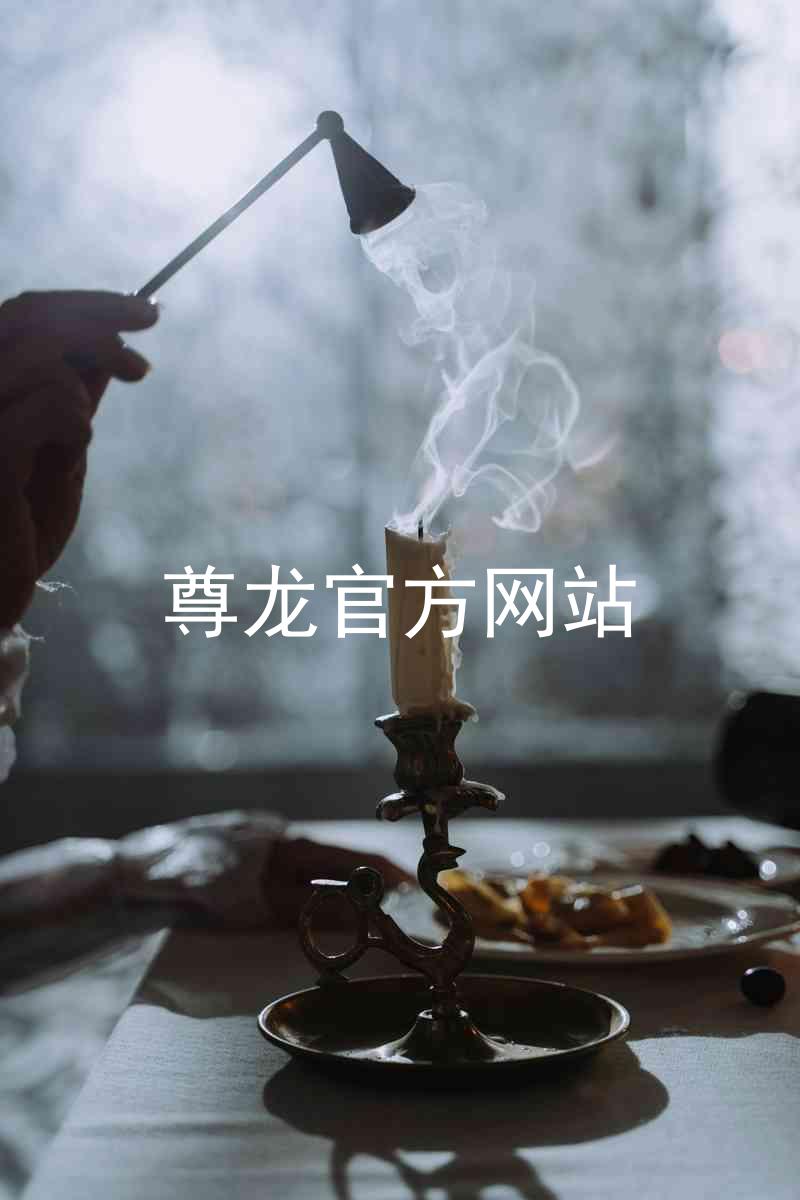 尊龙官方网站