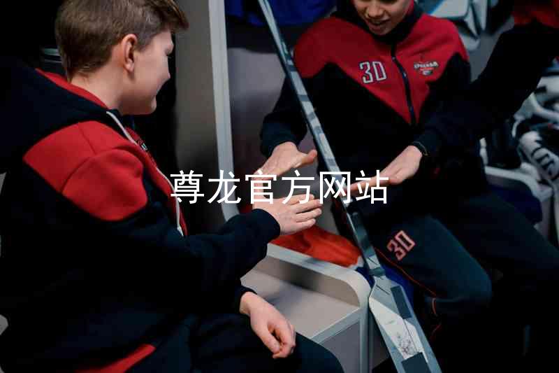 尊龙官方网站